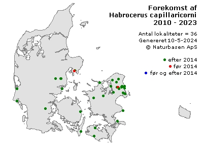 Habrocerus capillaricornis - udbredelseskort