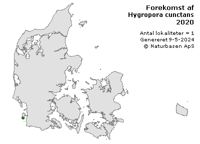 Hygropora cunctans - udbredelseskort