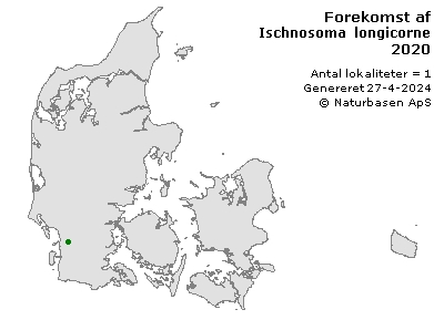 Ischnosoma longicorne - udbredelseskort