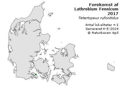 Lathrobium Fennicum - udbredelseskort