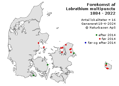 Lobrathium multipunctum - udbredelseskort