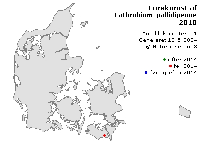 Lathrobium pallidipenne - udbredelseskort