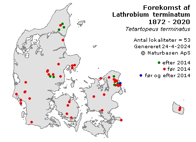 Lathrobium terminatum - udbredelseskort