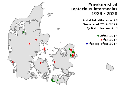 Leptacinus intermedius - udbredelseskort