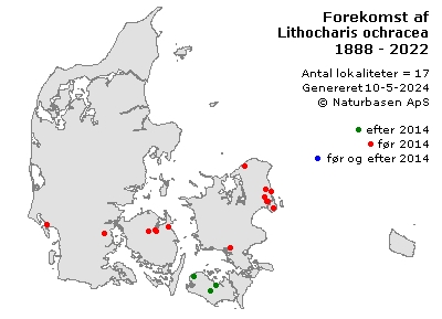 Lithocharis ochracea - udbredelseskort