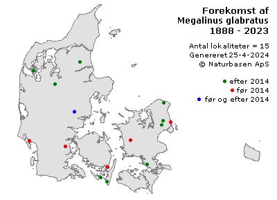 Megalinus glabratus - udbredelseskort