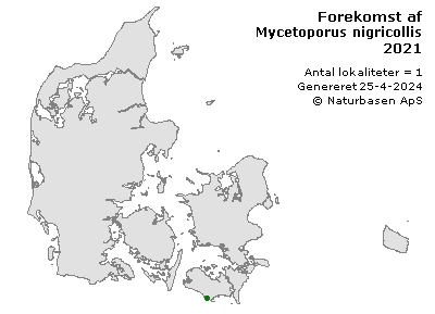Mycetoporus nigricollis - udbredelseskort