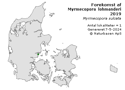Myrmecopora lohmanderi - udbredelseskort