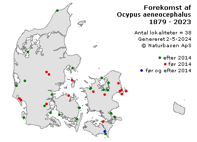 Ocypus aeneocephalus - udbredelseskort