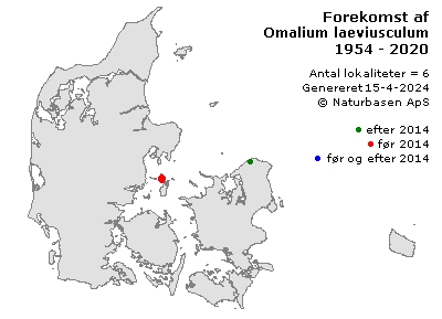 Omalium laeviusculum - udbredelseskort