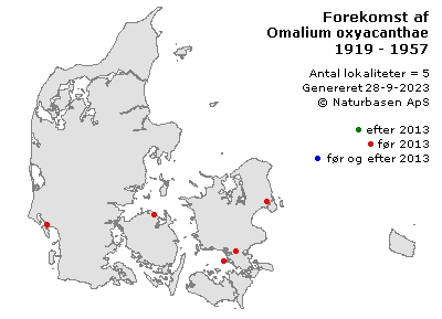 Omalium oxyacanthae - udbredelseskort