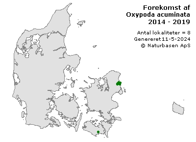 Oxypoda acuminata - udbredelseskort