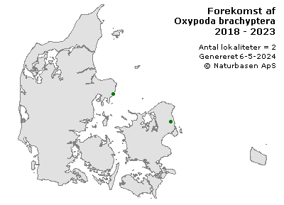 Oxypoda brachyptera - udbredelseskort
