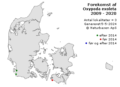 Oxypoda exoleta - udbredelseskort