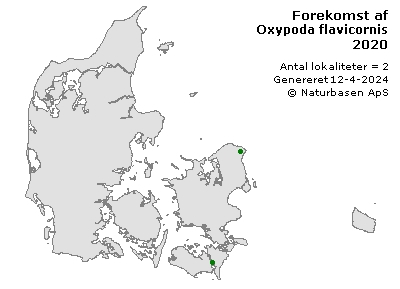 Oxypoda flavicornis - udbredelseskort