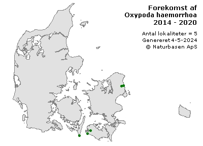Oxypoda haemorrhoa - udbredelseskort