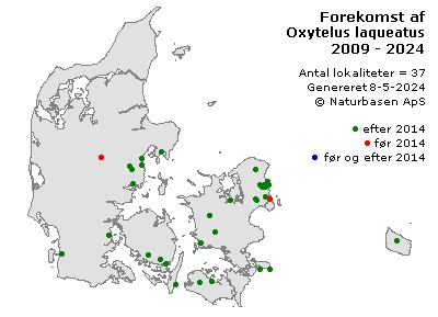 Oxytelus laqueatus - udbredelseskort