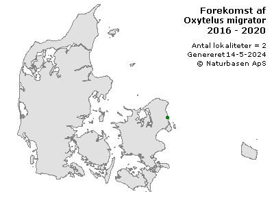 Oxytelus migrator - udbredelseskort