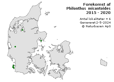 Philonthus micantoides - udbredelseskort