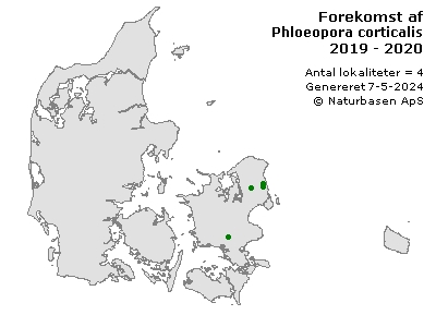 Phloeopora corticalis - udbredelseskort