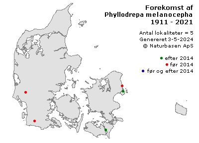 Phyllodrepa melanocephala - udbredelseskort