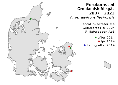 Grønlandsk Blisgås - udbredelseskort