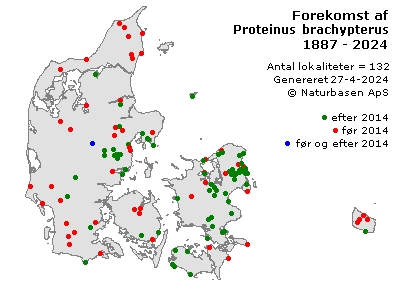 Proteinus brachypterus - udbredelseskort