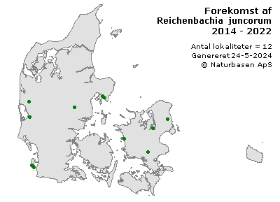 Reichenbachia juncorum - udbredelseskort