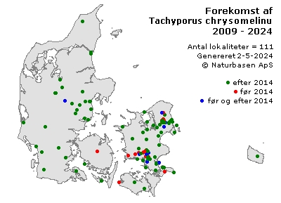 Tachyporus chrysomelinus/dispar - udbredelseskort