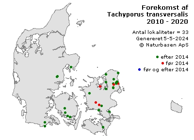 Tachyporus transversalis - udbredelseskort
