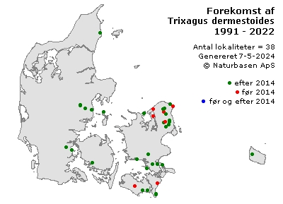 Trixagus dermestoides - udbredelseskort