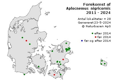 Aplocnemus nigricornis - udbredelseskort