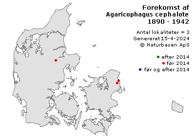 Agaricophagus cephalotes - udbredelseskort