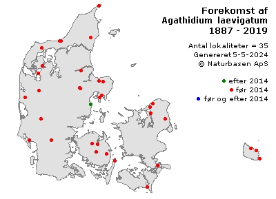 Agathidium laevigatum - udbredelseskort