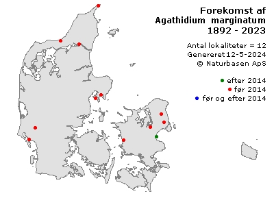 Agathidium marginatum - udbredelseskort