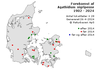 Agathidium nigripenne - udbredelseskort