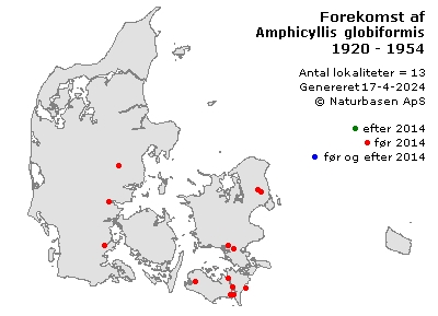 Amphicyllis globiformis - udbredelseskort