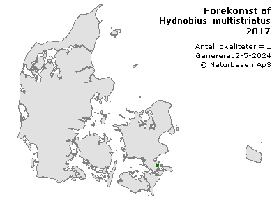 Hydnobius multistriatus - udbredelseskort