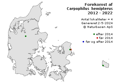 Carpophilus hemipterus - udbredelseskort
