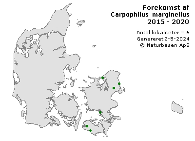 Carpophilus marginellus - udbredelseskort