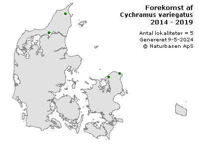 Cychramus variegatus - udbredelseskort