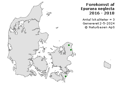 Epuraea neglecta - udbredelseskort