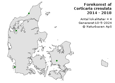 Corticaria crenulata - udbredelseskort