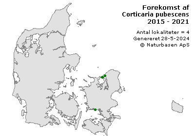 Corticaria pubescens - udbredelseskort