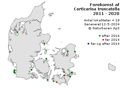 Corticarina truncatella - udbredelseskort
