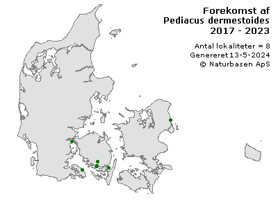 Pediacus dermestoides - udbredelseskort