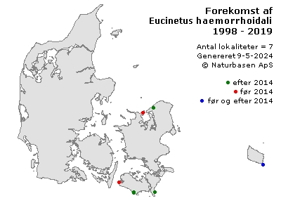 Eucinetus haemorrhoidalis - udbredelseskort