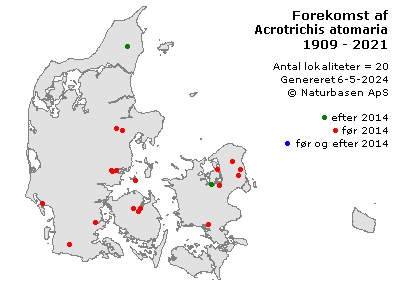 Acrotrichis atomaria - udbredelseskort
