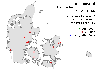 Acrotrichis montandonii - udbredelseskort