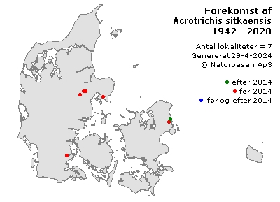 Acrotrichis sitkaensis - udbredelseskort